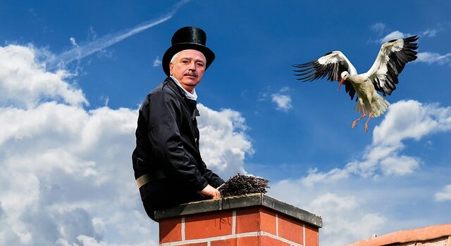 emotions, happiness, symbol, chimney, chimney sweeper, cylinder, stork, lucky charm, roof, chimney, chimney, chimney, chimney, chimney, chimney sweeper